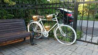 Гостиница Дом Павловых Плес-3