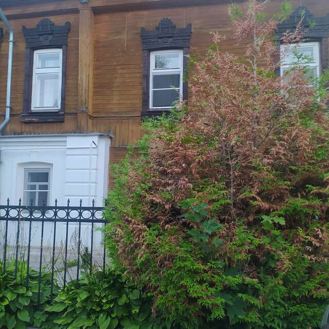 Гостиница Дом Павловых Плес-22